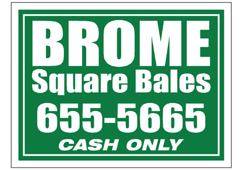 Brome Hay